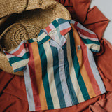 Vertical Delight Linen Button Up Shirt